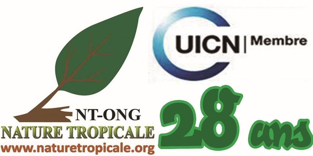 Nature Tropicale